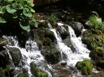 IMG_0699.jpg