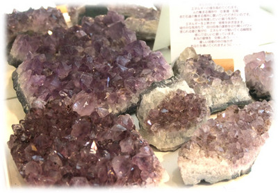 ame-2014-5-500.jpg